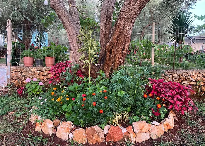 奥尼公寓 卡萨米尔