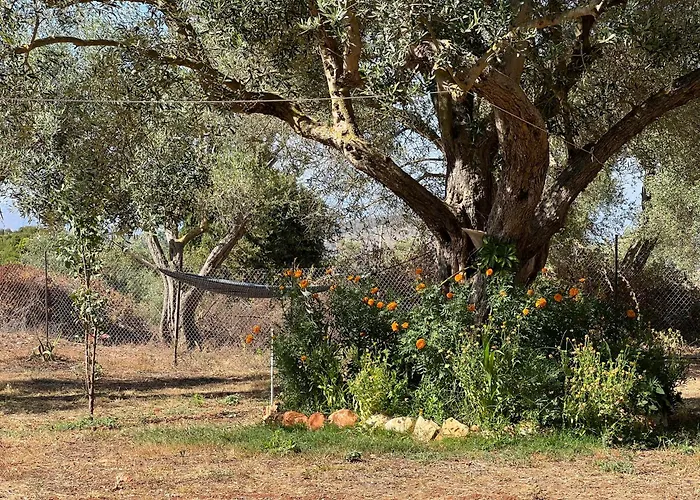 公寓 奥尼公寓 卡萨米尔