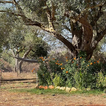 Appartamento Oni Ksamil