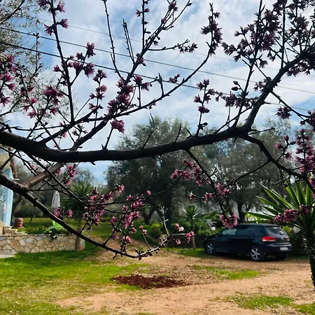 Διαμέρισμα Oni *